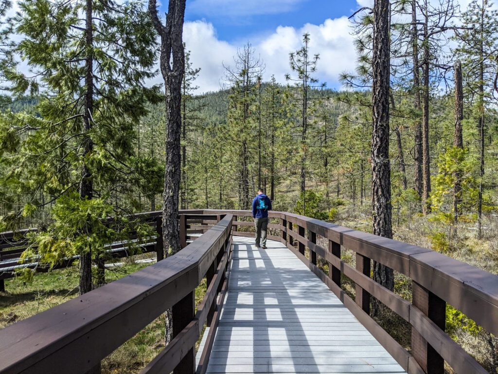 Southern Oregon Wildflower Hikes - Eight Dollar Mountain Botanical Trail - What to do in Southern Oregon - Illinois Valley - Grants Pass