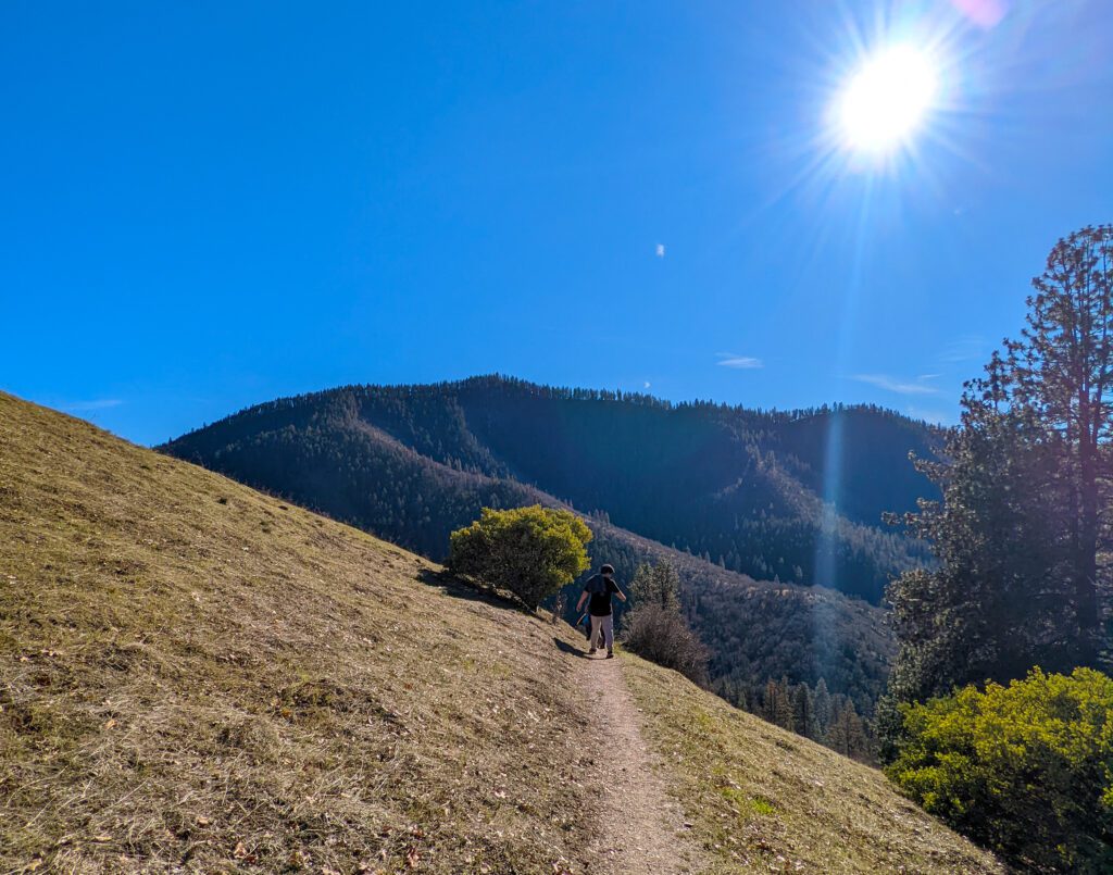 Tunnel Ridge Trail - Wildflower Hikes in Southern Oregon  - Jacksonville