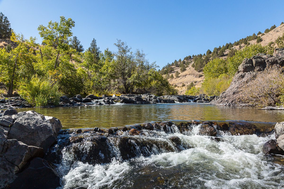 Bigfoot Lover's Guide to Oregon - Travel Oregon