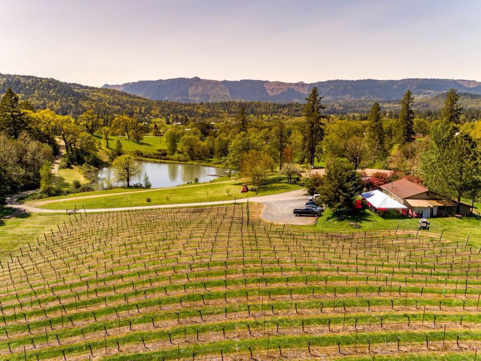 Dlefino Vineyard - Roseburg - Photo credit: Delfino Vineyard Vineyard