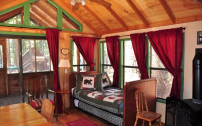 Lake of the Woods Log cabin
