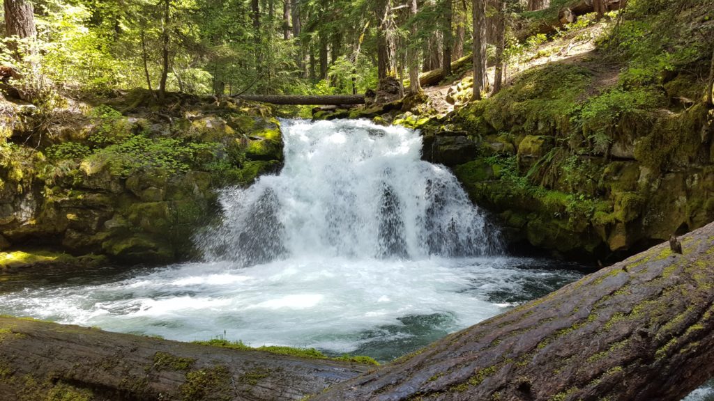 Oregon Bucket List - Whitehorse Falls - Roseburg - Travel Southern Oregon - What to do