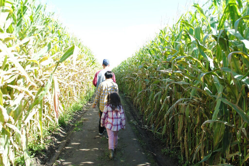 Fort Vannoy Farms