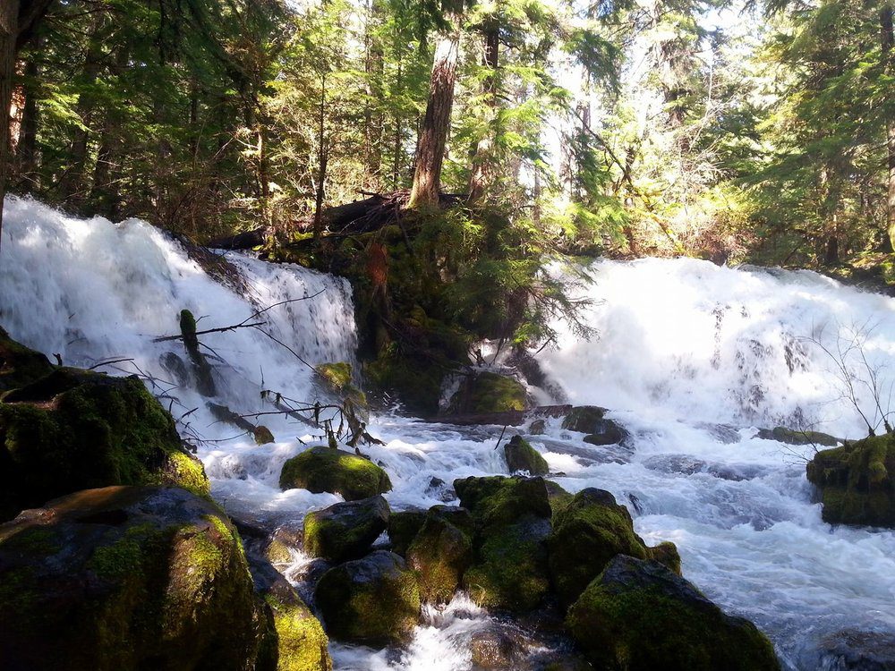 Pearsony Falls